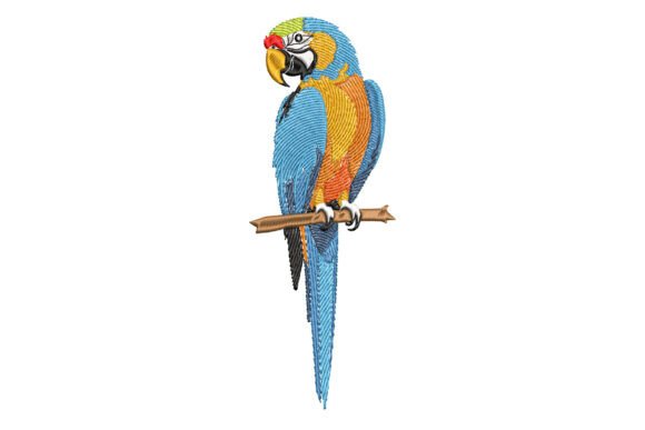Beautiful Parrot: A Boutique Sweatshirt Review