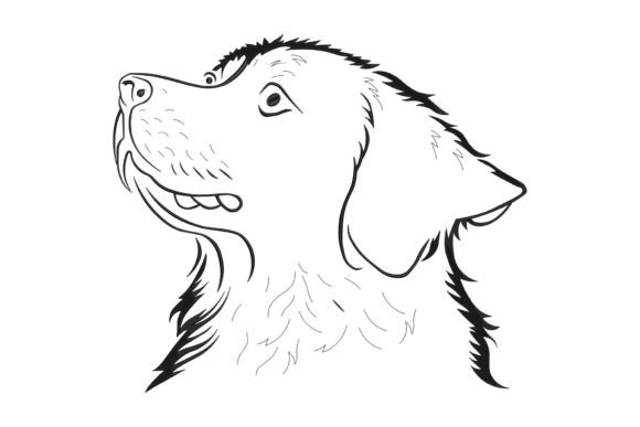 Graceful Golden Retriever Dog Embroidery Review