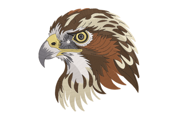 Review: Majestic Hawk Head Embroidery Design